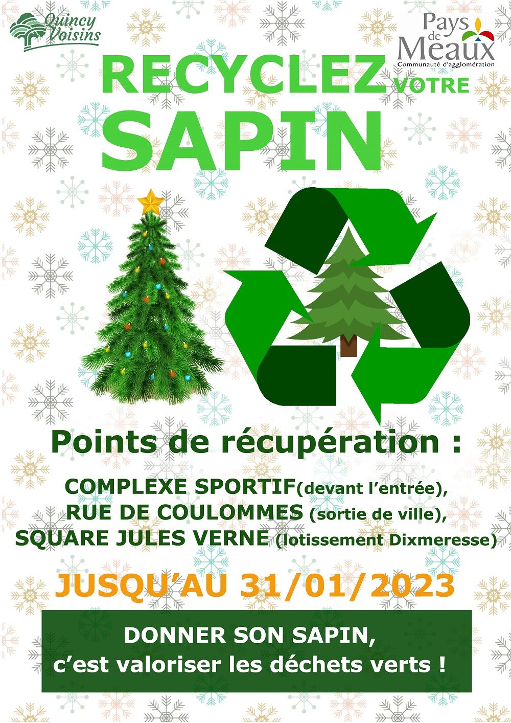 Le Recyclage des Sapins de Noël à Paris en 2024 : Un Geste Écologique Essentiel